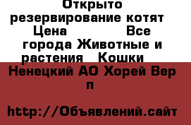 Открыто резервирование котят › Цена ­ 15 000 - Все города Животные и растения » Кошки   . Ненецкий АО,Хорей-Вер п.